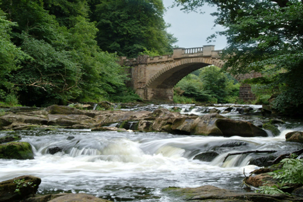 Almondell and Calderwood Country Park